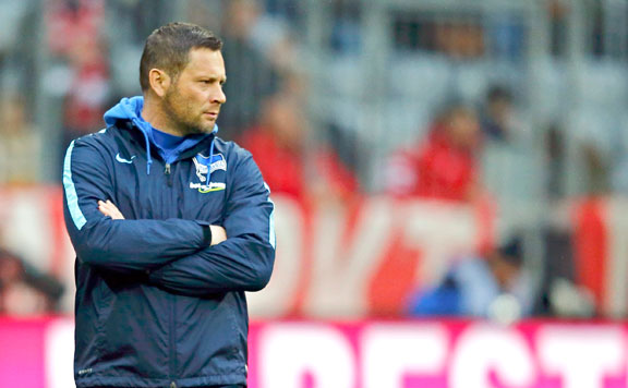 Dardai