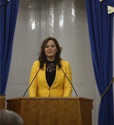 pest megye vitályos 