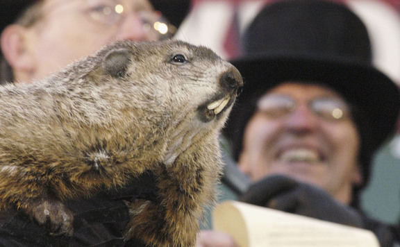 punxsutawney576