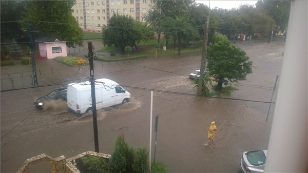 Vihar budapest nagy