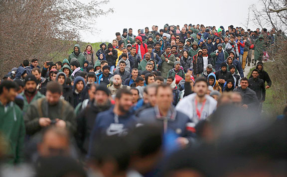 migrans