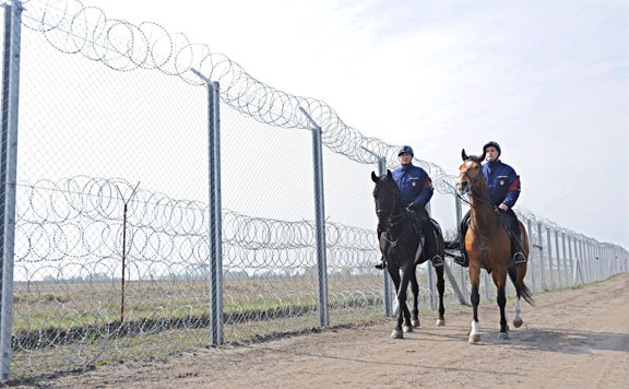 Forrás: mh migrans