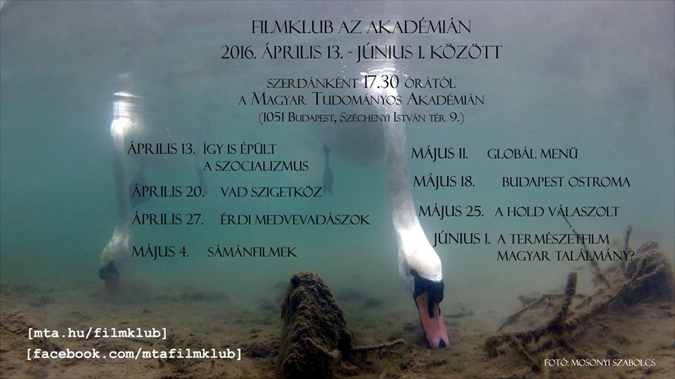 Forrás: mh filmklub lead
