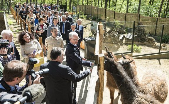 nyíregyháza_állatkert576