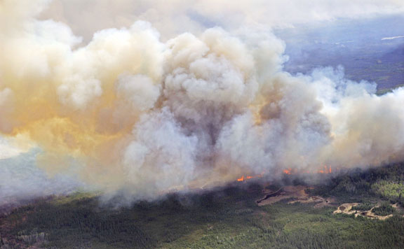 Forrás: mh erdőtűz 20160507