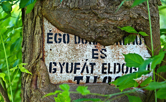 Forrás: mh fa 20160607