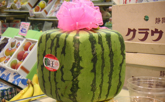 kocka dinnye_wiki_lead