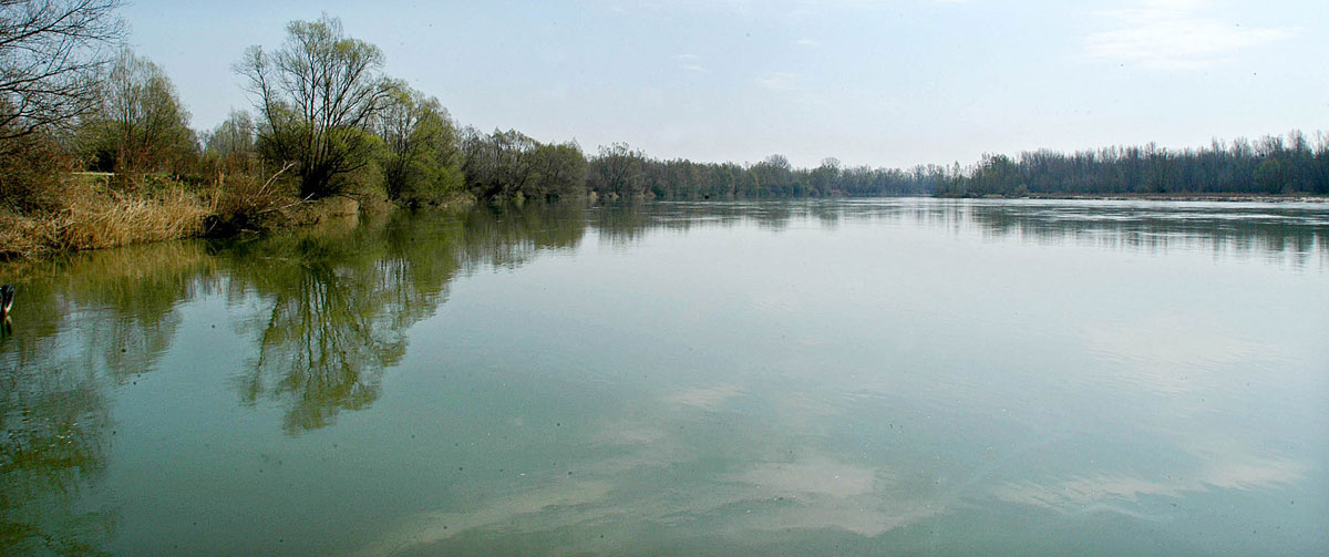 Forrás: mh Dravasztara