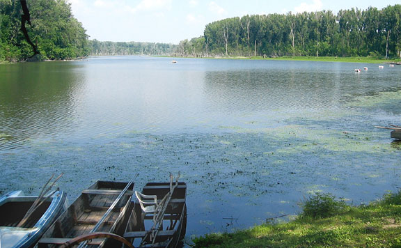 Forrás: mh tározó 20161015