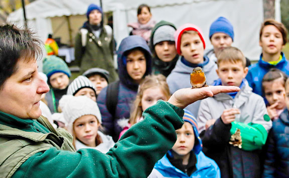 Városliget 20161112