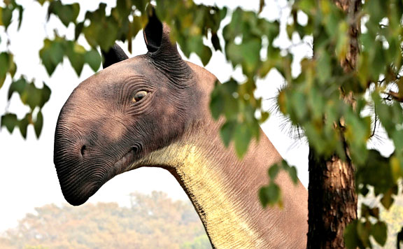 Forrás: mh dino
