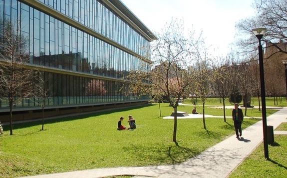 szegedi egyetem zöld