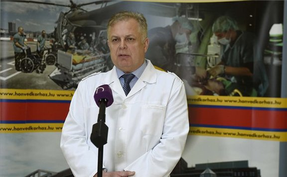veronai dokibácsi