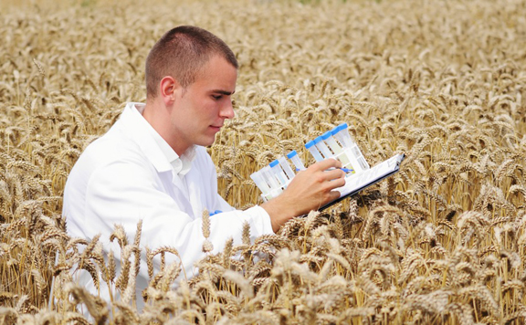 agrár-felsőoktatás