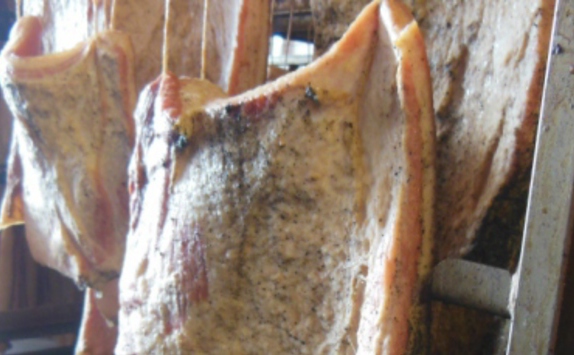 nébih-kép576x356