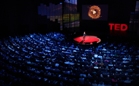 ted576