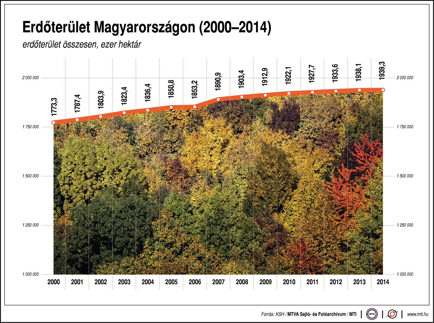 erdőterület