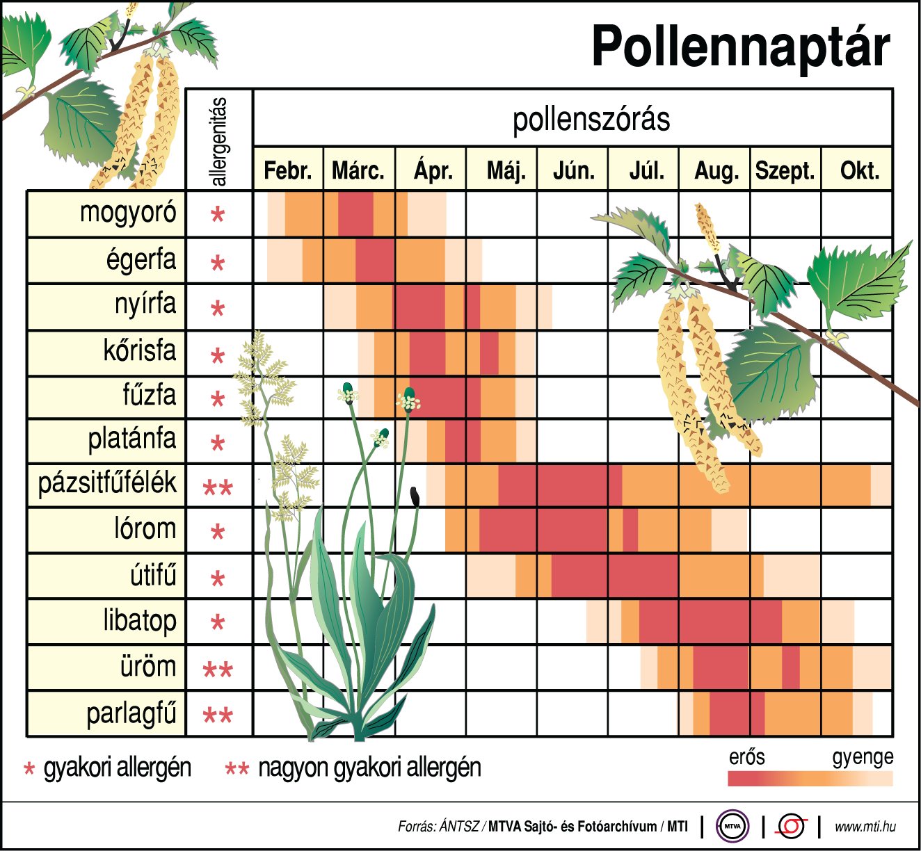 pollen