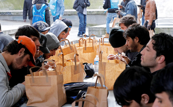 migrans