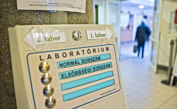 labor
