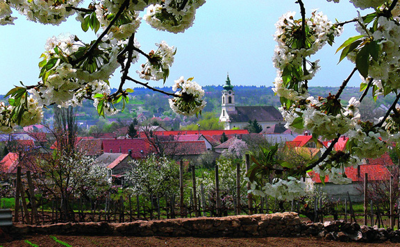 Pannónia-Szíve