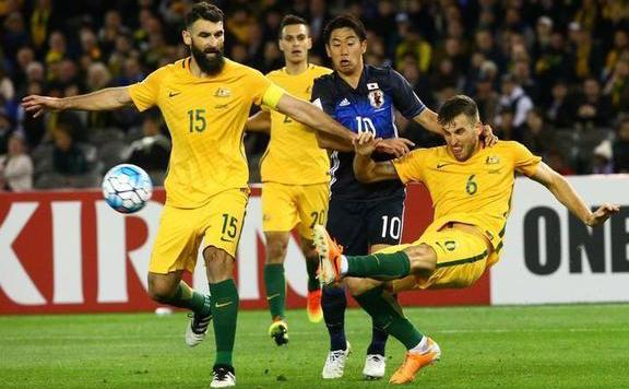 jedinak