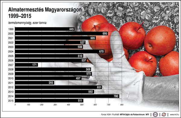 almatermesztés