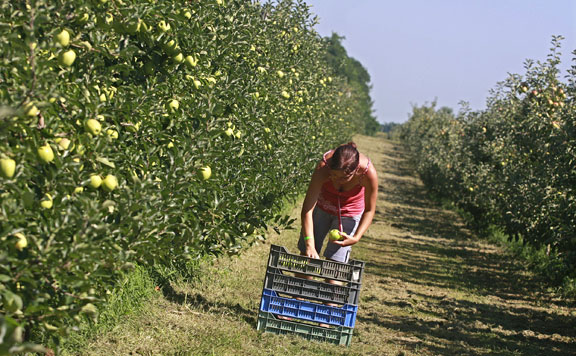 Forrás: mh zártkert 20170913