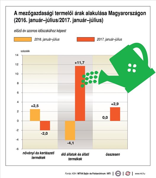 grafika