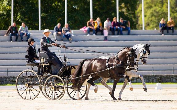 Forrás: mh Hölle Martin 20170927