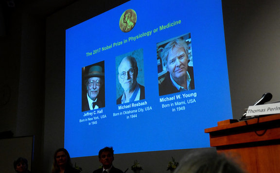 Forrás: mh nobel