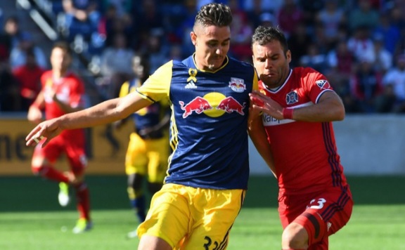 nikolics nyrb