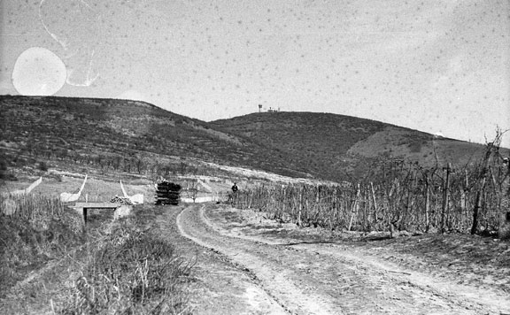 tokaj