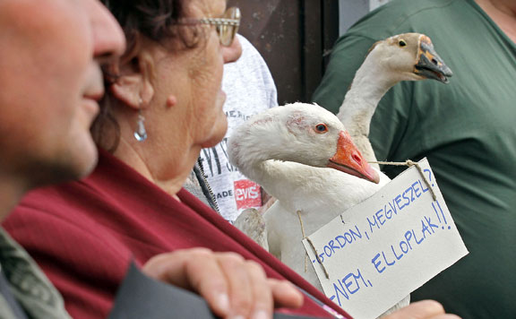Forrás: mh hajdu-bet2