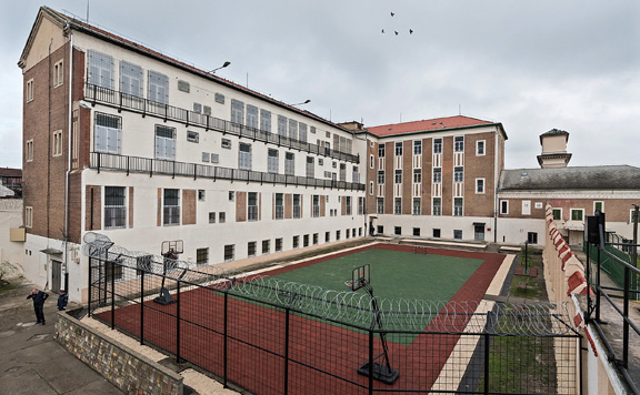 Vaci-borton