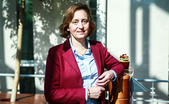 Forrás: mh Beatrix von Storchot 20180103