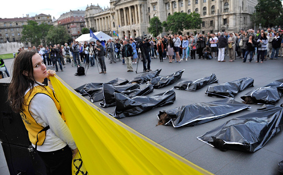 Forrás: mh Amnesty-International