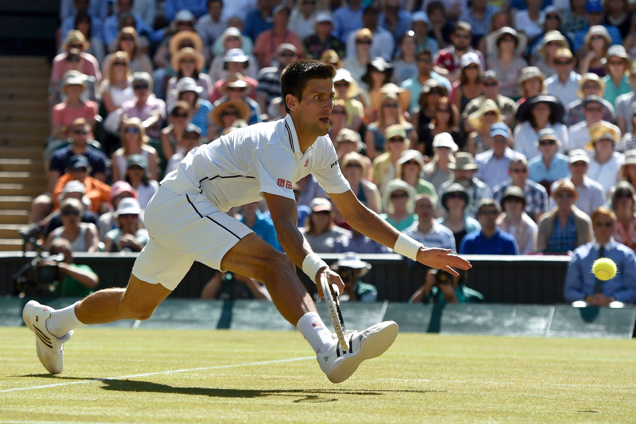 Djokovic