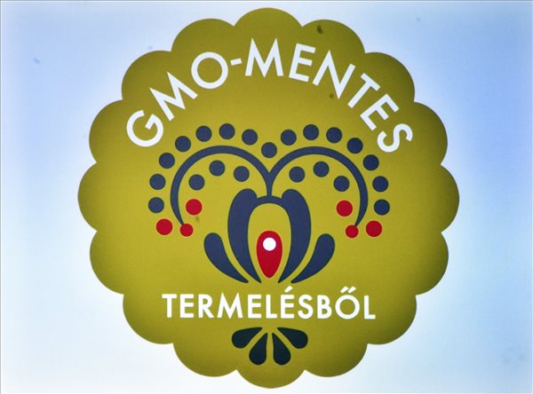 gmo