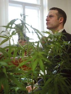 Juhász Péter kábítószer