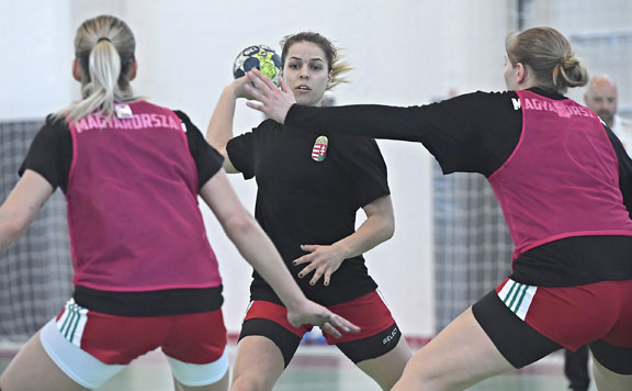 Forrás: mh Kovacsics Anikó 20180418