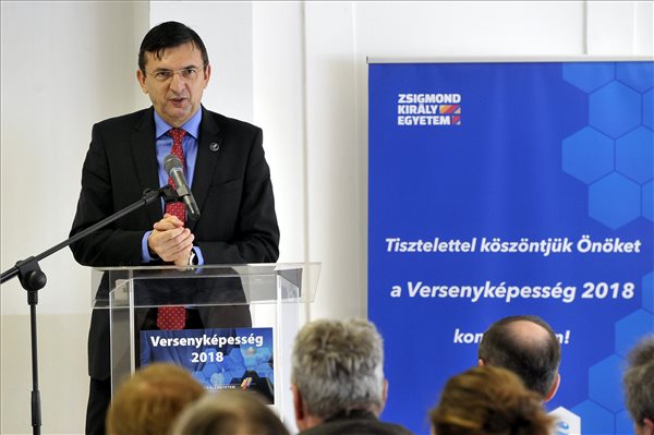 domokos lászló nagy