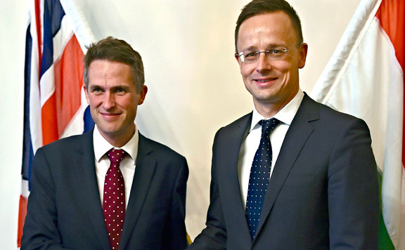 Gavin Williamson 20180626