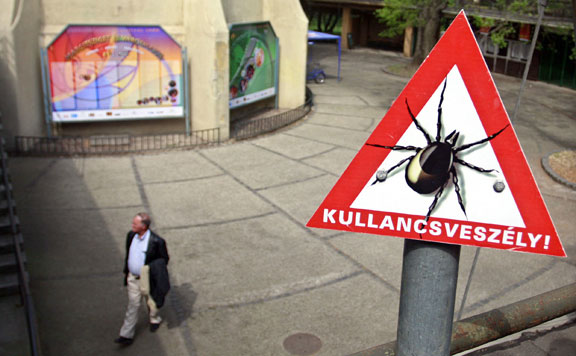 Forrás: mh kullancs 20180719