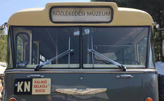Sziget busz