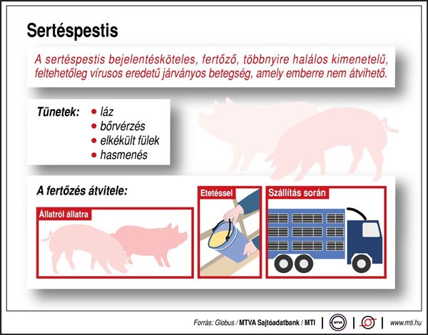 sertéspestis