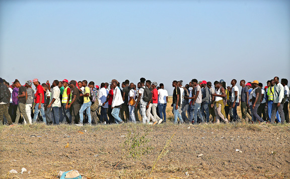 Forrás: mh migrans