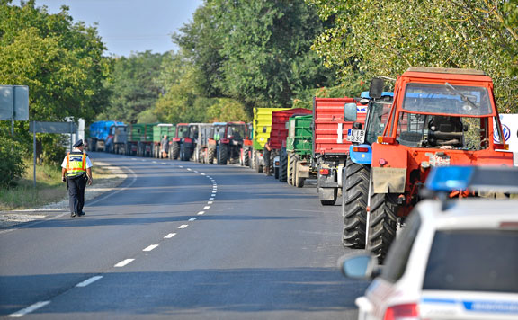 termelők 20180822