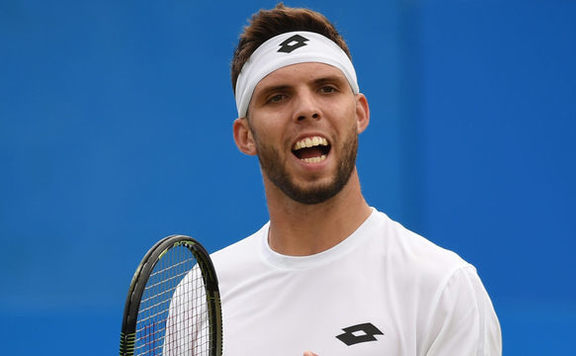 vesely
