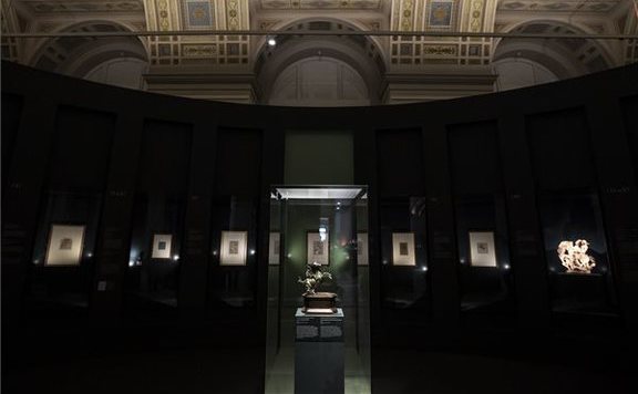 Szépművészeti da Vinci-kamarakiállítás